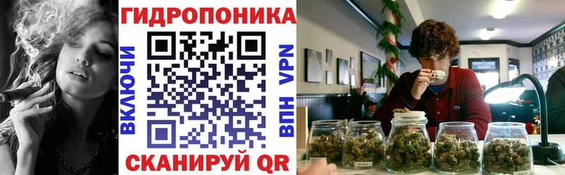 магазин наркотиков Артёмовский Бошки Шишки Amnesia